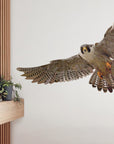 Falcon Wall Decal Your Decal Shop Wall Decal NZ