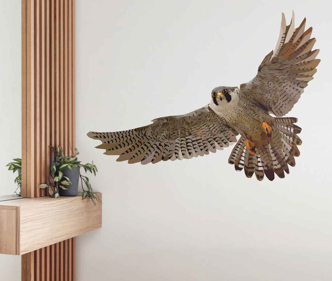 Falcon Wall Decal Your Decal Shop Wall Decal NZ