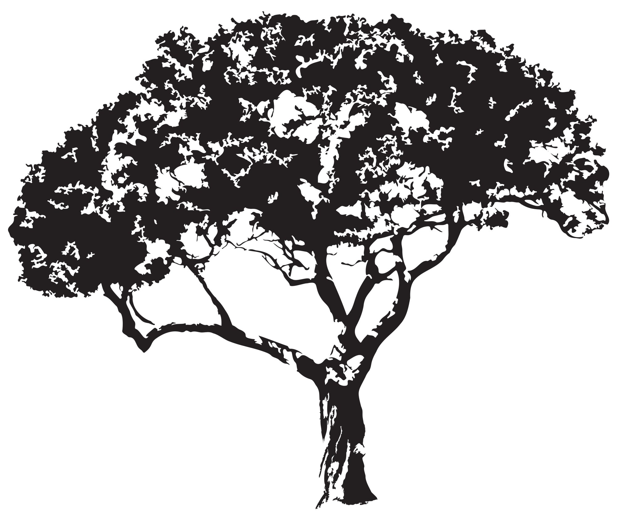 Pohutukawa Family Tree Wall Decal Your Decal Shop Wall Decal NZ