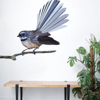 Fantail Wall Decal Your Decal Shop Wall Decal NZ