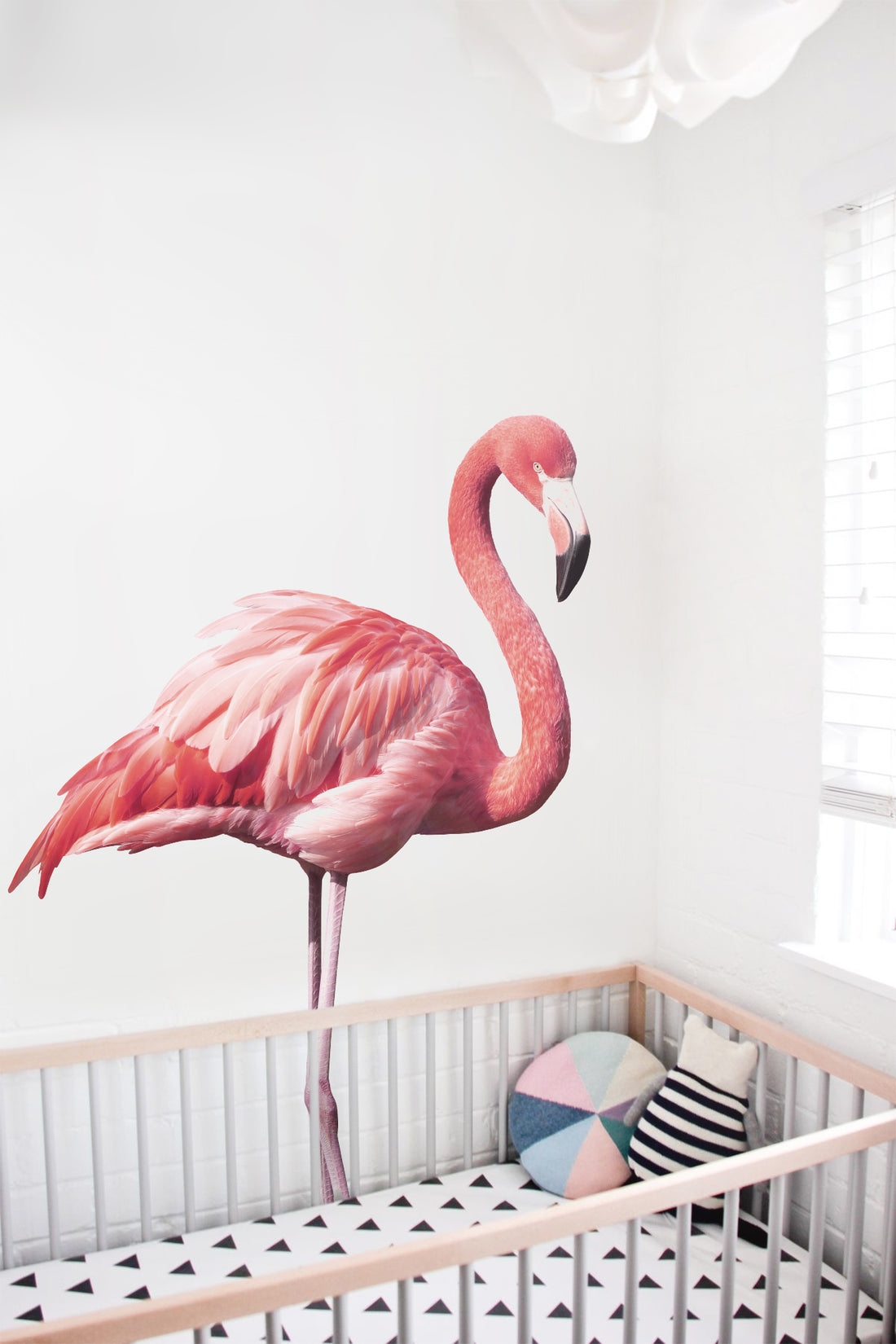 Flamingo Wall Decal Your Decal Shop Wall Decal NZ