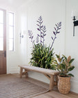 Geometric Flax Wall Decal Your Decal Shop Wall Decal NZ