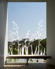 Window Strike Flax Bush