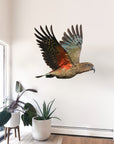 Flying Kea Wall Decal