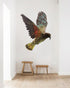 Geometric Kea Wall Decal Your Decal Shop Wall Decal NZ