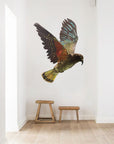 Geometric Kea Wall Decal Your Decal Shop Wall Decal NZ