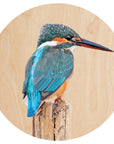 Geometric Kingfisher Mural Dot Your Decal Shop Wall Decal NZ