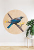 Geometric Tui Mural Dot Your Decal Shop Wall Decal NZ