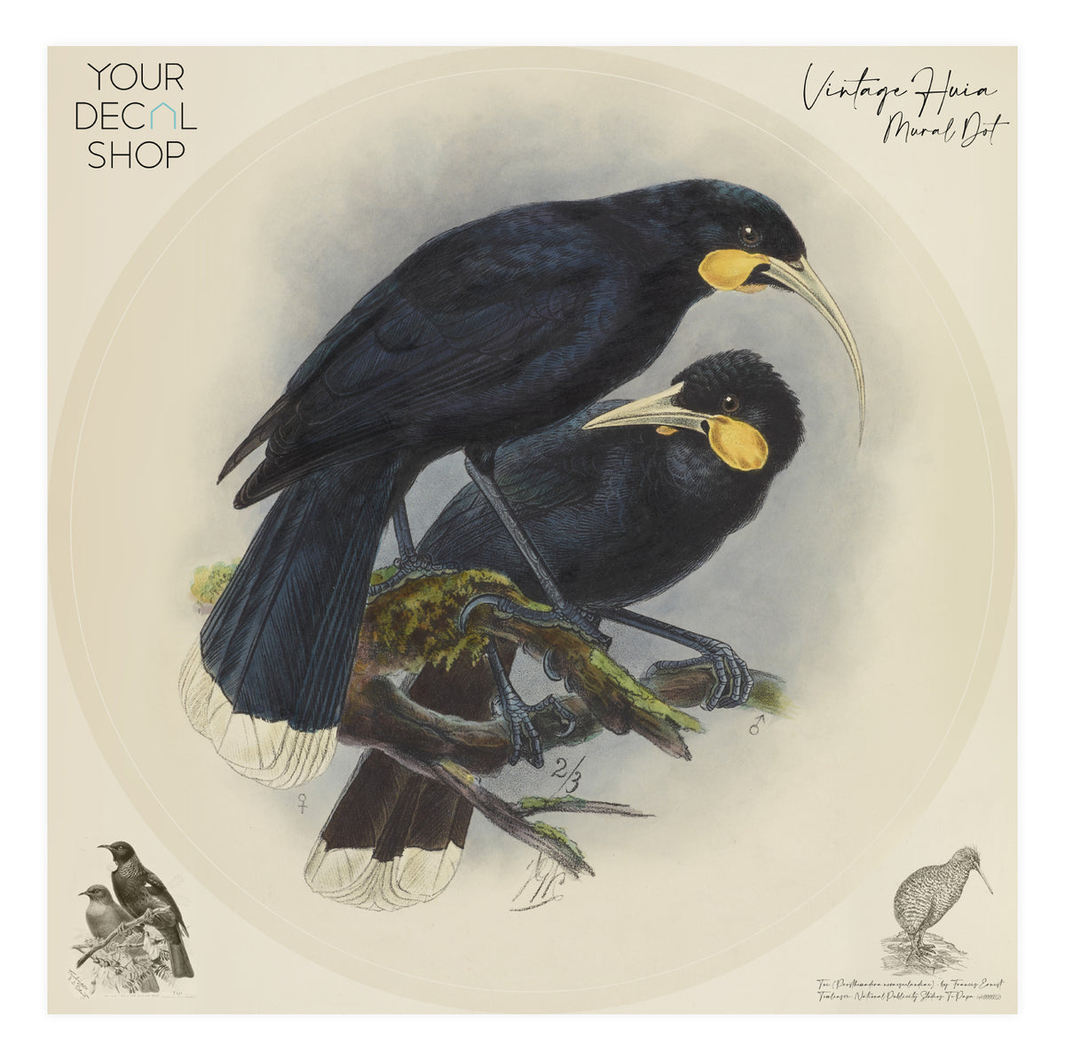 Vintage Huia Mural Dot
