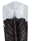 Huia Feather Wall Decal