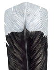 Huia Feather Wall Decal