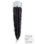 Huia Feather Wall Decal