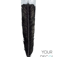 Huia Feather Wall Decal