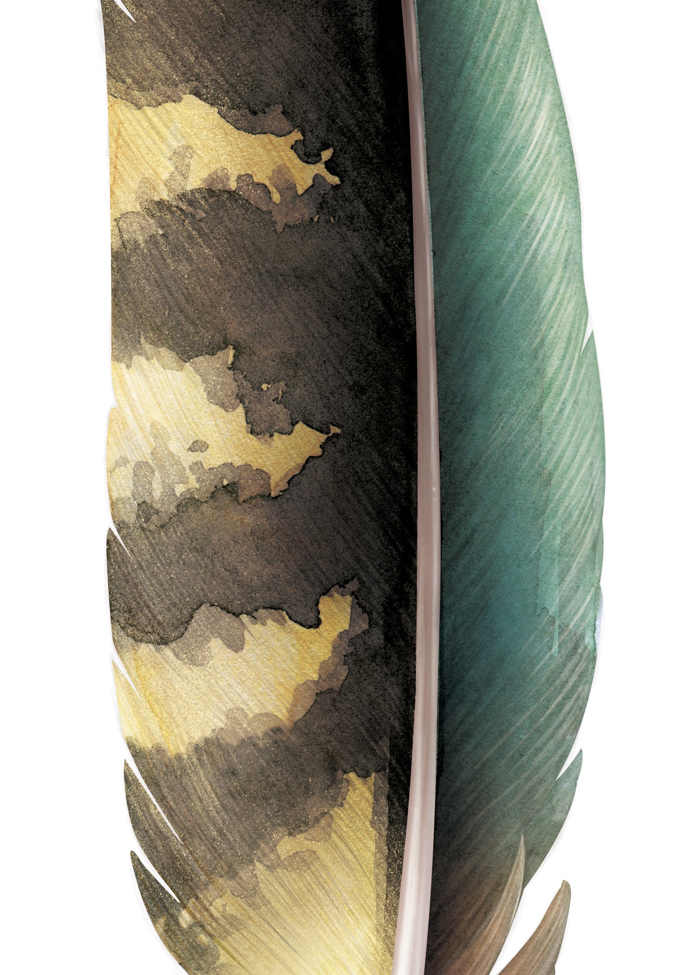 Kea Feather Wall Decal