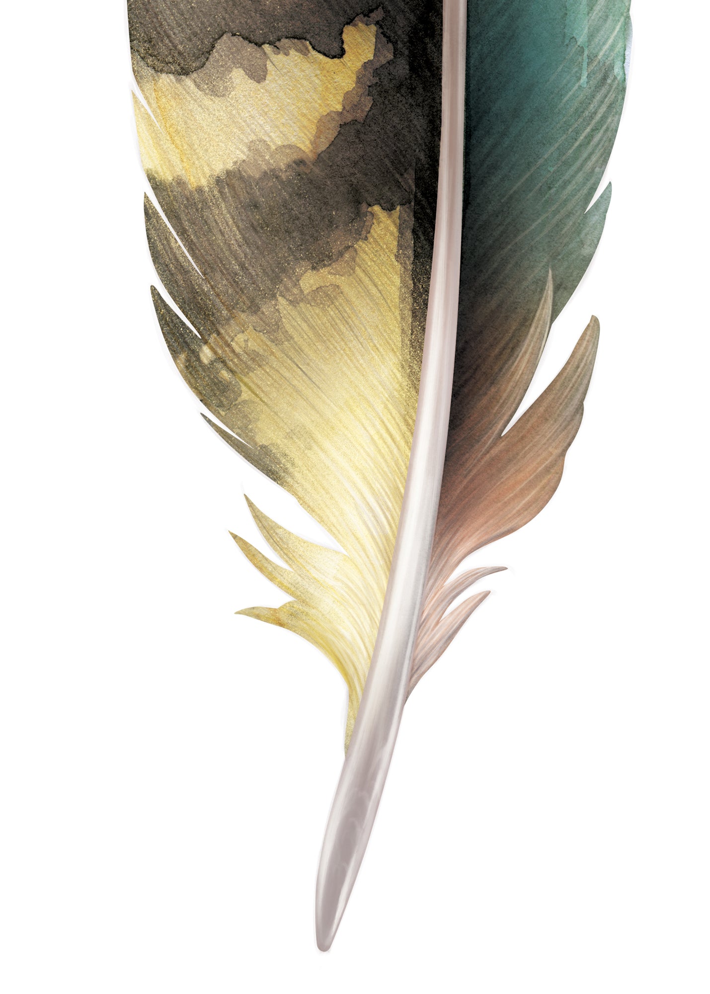 Kea Feather Wall Decal