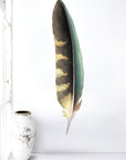 Kea Feather Wall Decal