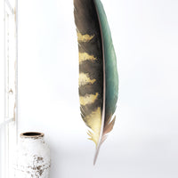 Kea Feather Wall Decal