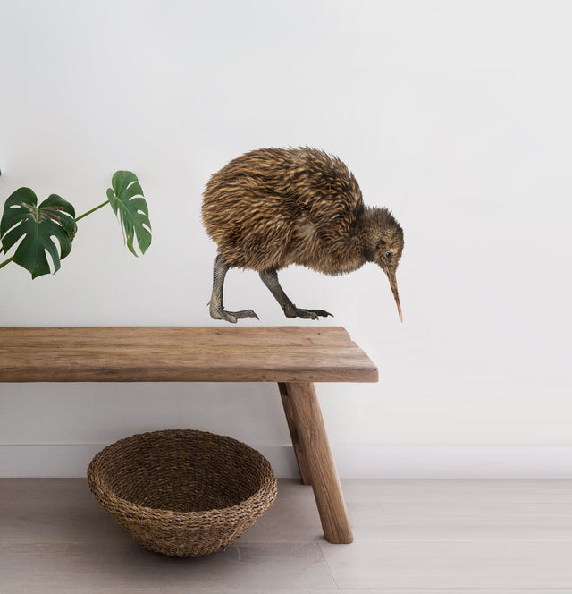 Kiwi Wall Decal