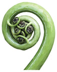 Geometric Koru Wall Decal Your Decal Shop Wall Decal NZ