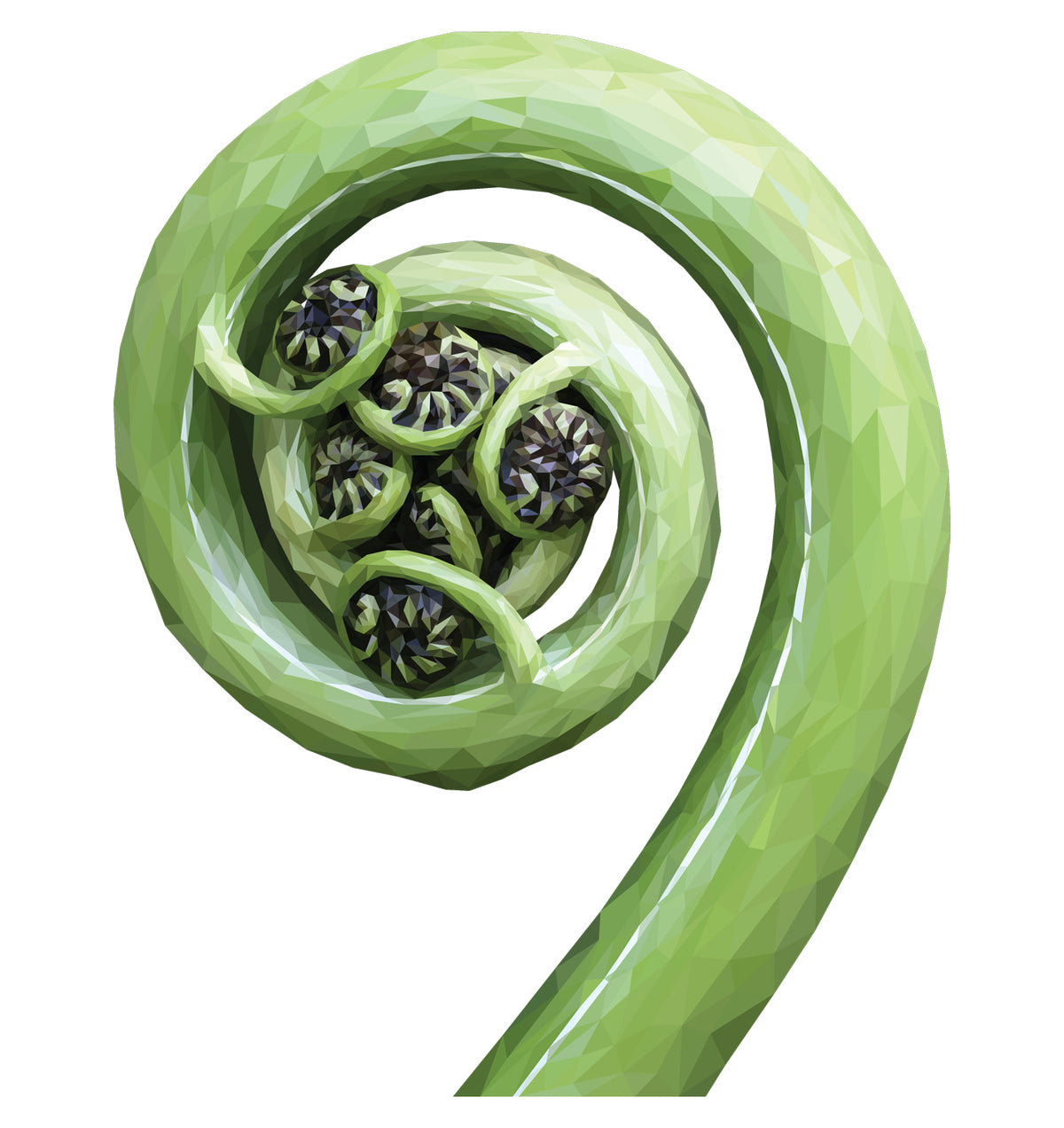 Geometric Koru Wall Decal