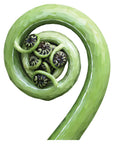 Geometric Koru Wall Decal Your Decal Shop Wall Decal NZ