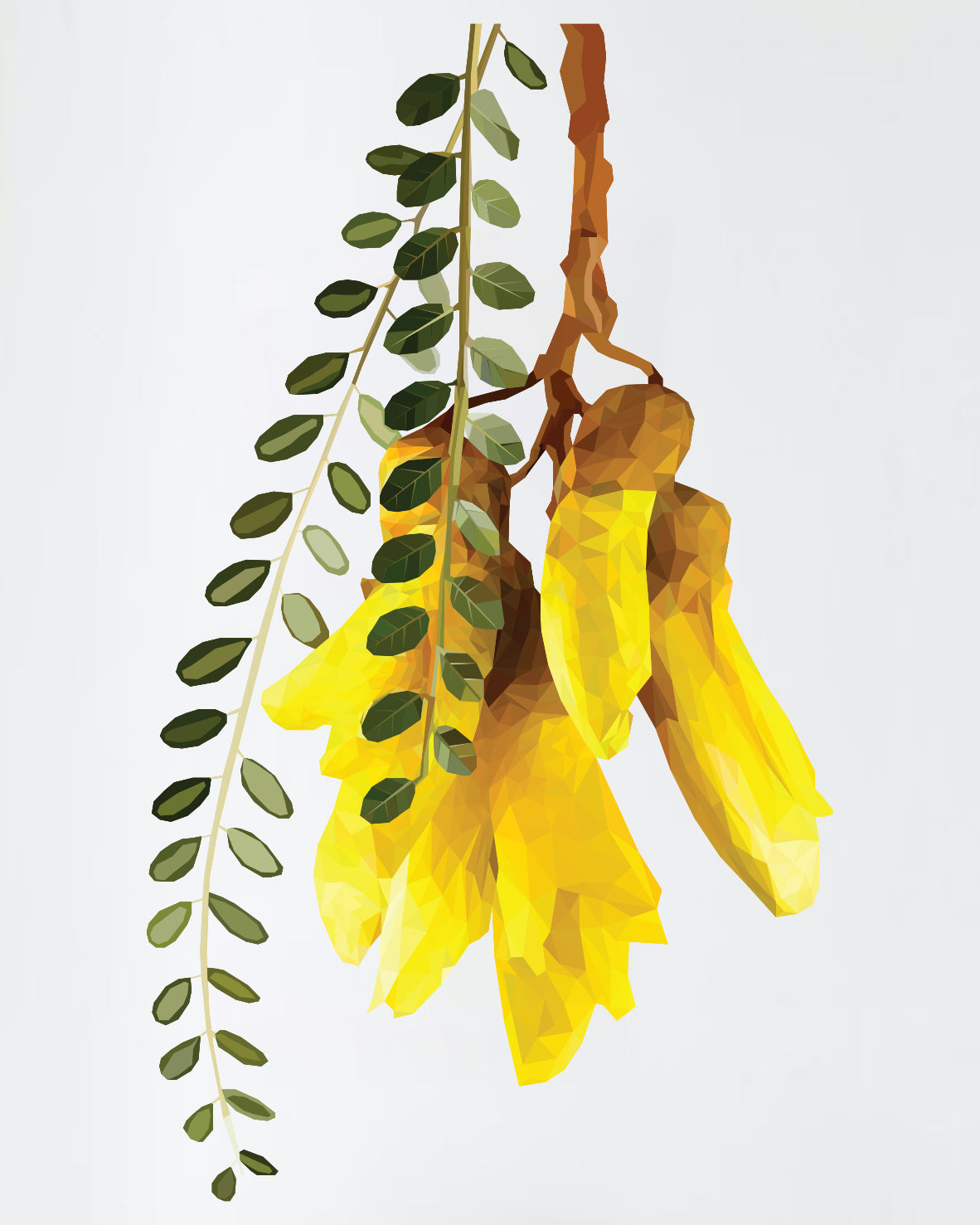 Geometric Kowhai Wall Decal Your Decal Shop Wall Decal NZ