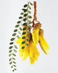 Geometric Kowhai Wall Decal Your Decal Shop Wall Decal NZ