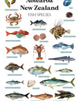 Aotearoa New Zealand Fish Species Wall Decal
