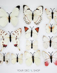 3D Butterfly Wall Art