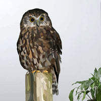 Morepork Wall Decal Your Decal Shop Wall Decal NZ