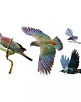 NZ Native Bird Mix