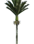 Nikau Palm Wall Decal Your Decal Shop Wall Decal NZ