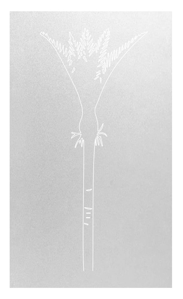 Nikau Tree Frosted Window Decal Your Decal Shop Wall Decal NZ