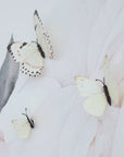 3D Butterfly Wall Art