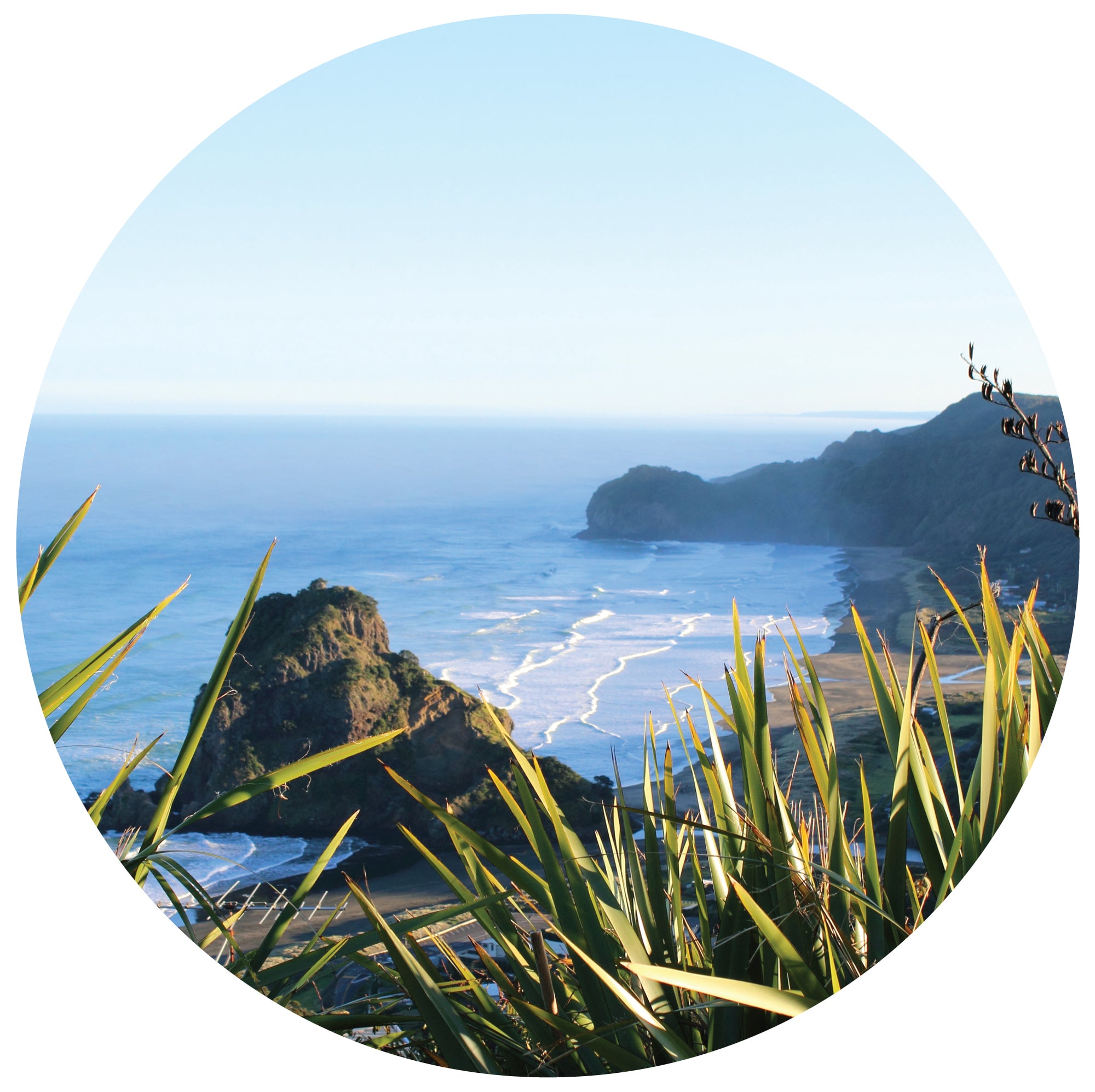 Piha Mural Dot Your Decal Shop Wall Decal NZ