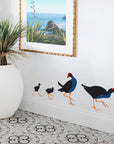 Pukeko family