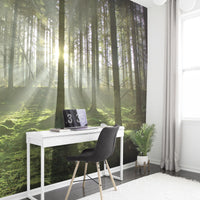 Spring Trees Mural Your Decal Shop Wall Decal NZ