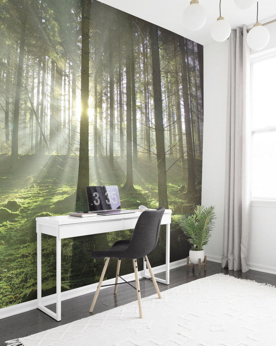 Spring Trees Mural Your Decal Shop Wall Decal NZ