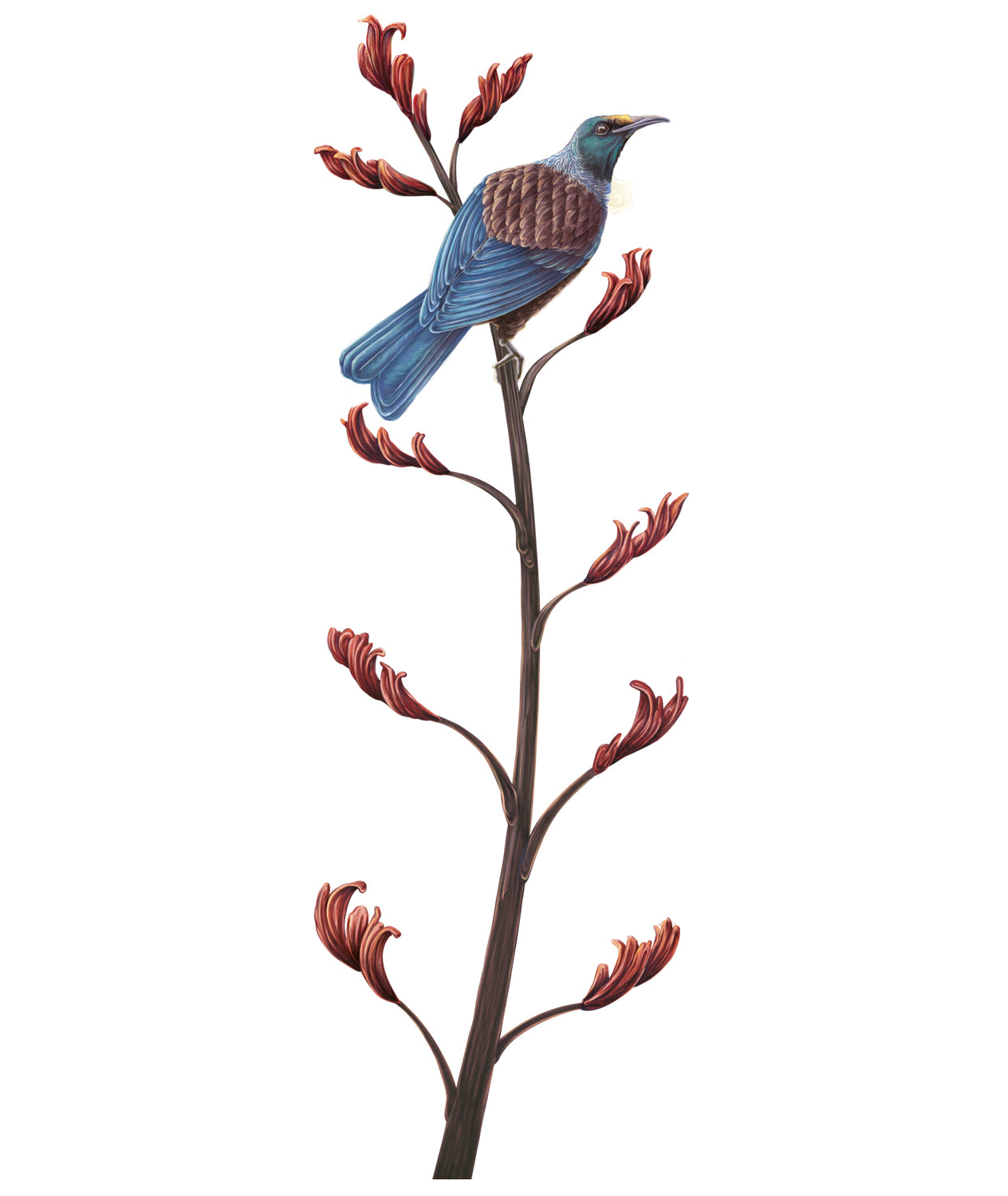 Native NZ Tui Wall Decal