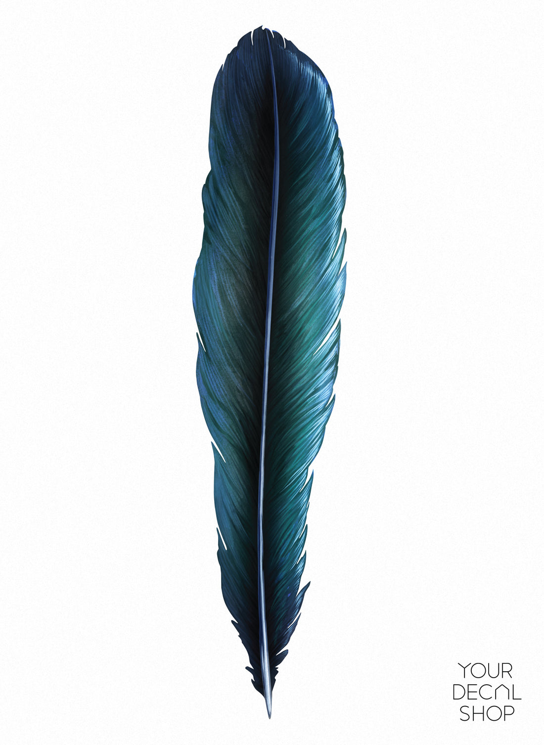 Tui Feather Wall Decal