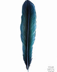 Tui Feather Wall Decal
