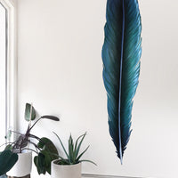 Tui Feather Wall Decal