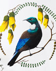 Tui & Kowhai Wall Decal Your Decal Shop Wall Decal NZ