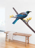 Tui Wall Decal Your Decal Shop Wall Decal NZ