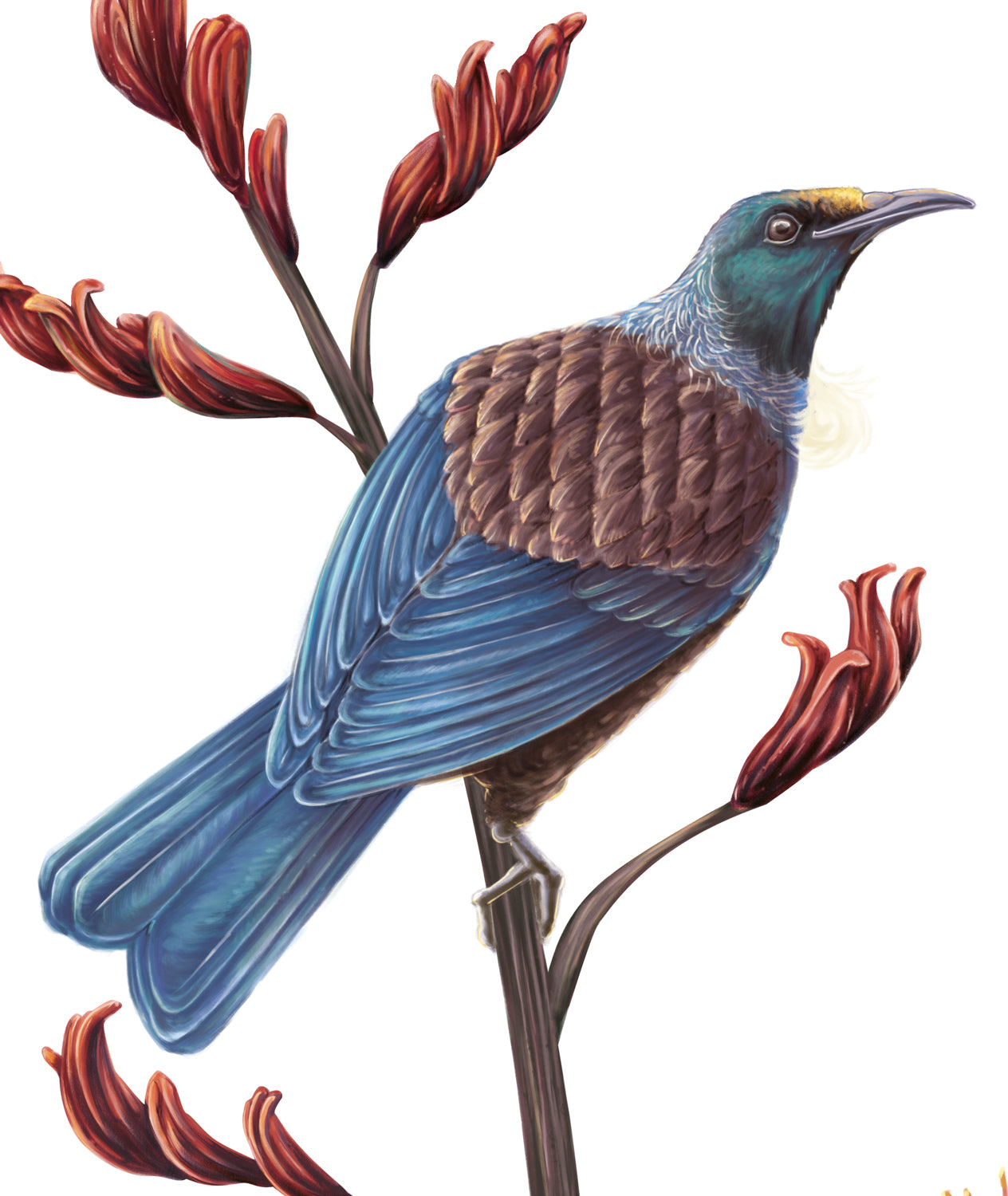 Native NZ Tui Wall Decal