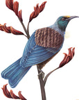 Native NZ Tui Wall Decal