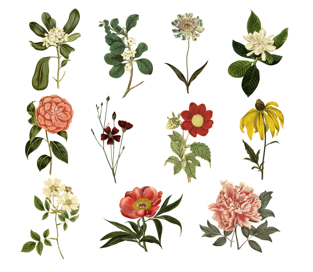 Mini Vintage Florals Wall Decal Your Decal Shop Wall Decal NZ