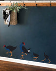 Pukeko family