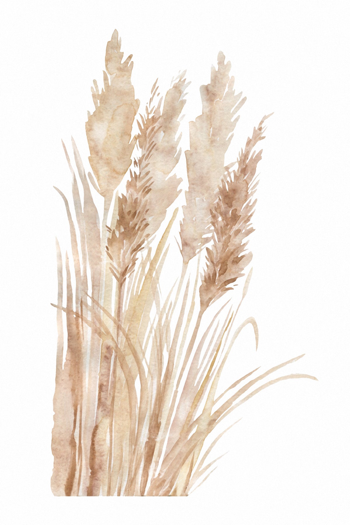 Watercolour Toe Toe