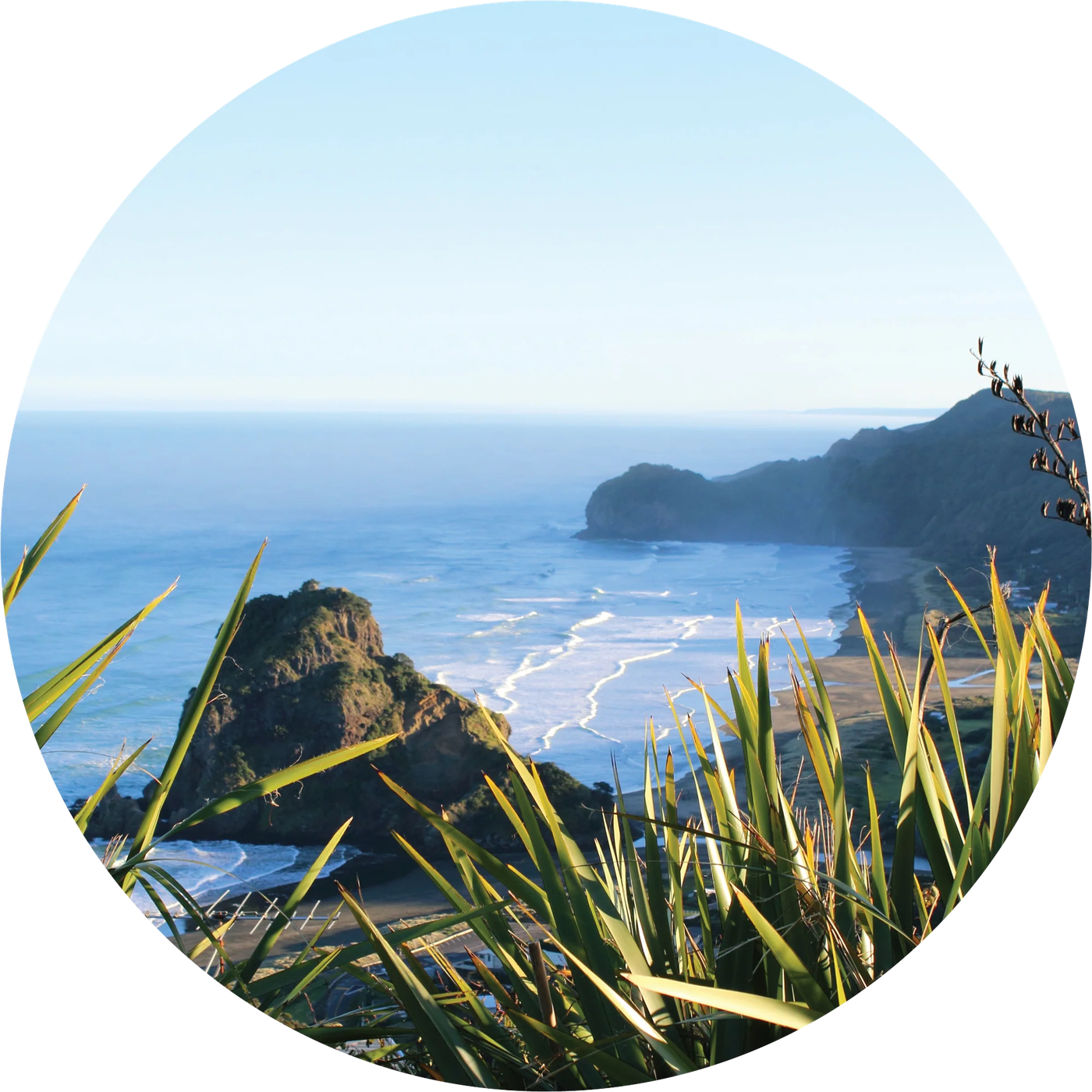 Piha Mural Dot